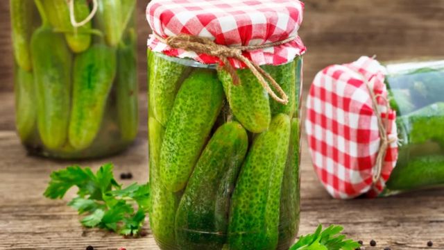 selena gomez diet plan